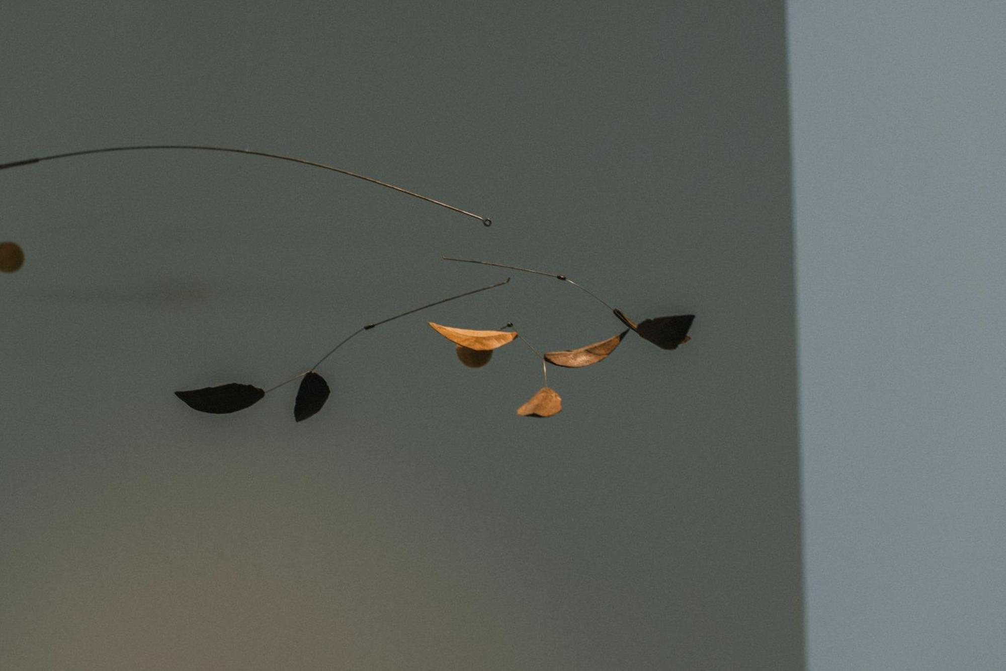 Hatago Vison Taki Buitenkant foto
